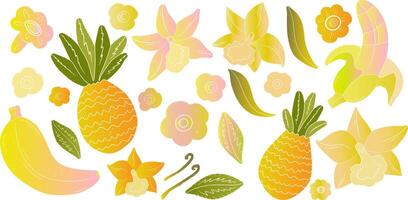 a set of tropical flowers and leaves vector