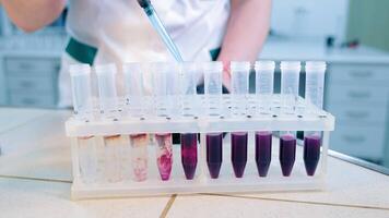 Labor Arbeiter Dirigieren Experiment mit DNA Moleküle. weiblich Spezialist mit Tropfer zum Füllung Prüfung Röhren mit chemisch Substanz Proben. Flüssigkeit Ändern Farbe von violett zu transparent video