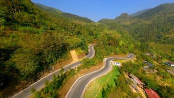fpv vuelo terminado arroz gradas y devanado la carretera en el montañas del Norte Vietnam video