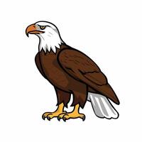 Eagle bird isolated flat illustration vector