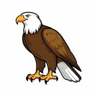 Eagle bird isolated flat illustration vector