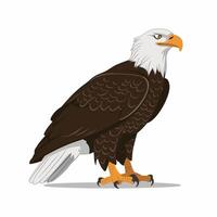 águila pájaro aislado plano ilustración vector
