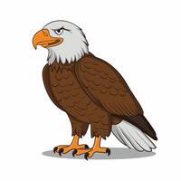 Eagle bird isolated flat illustration vector
