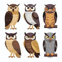Cute cartoon owl funny animal. illustration. vector