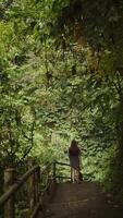 niña caminando abajo el escalera en medio de tropical selva y verdor, vertical video