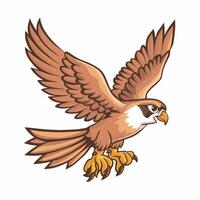illustration of a falcon. birds isolated on a white background. vector