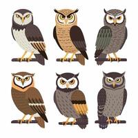 Cute cartoon owl funny animal. illustration. vector