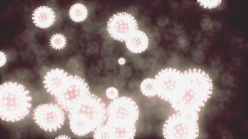 Virus cells or bacterias under microscope video