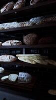 geschäftig Bäckerei gefüllt mit frisch gebacken Waren video