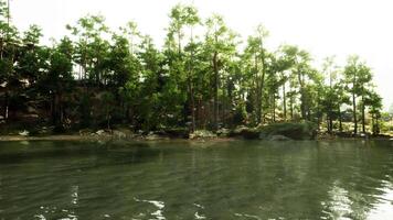 Wasser Körper umgeben durch Bäume und Felsen video