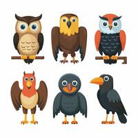 Set of Cute Parrot cartoon collection, isolated on white background vector
