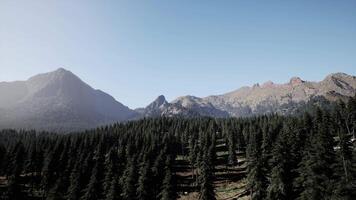 majestueux forêt et Montagne vue video