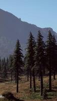 aerial view of canadian rockies mountain video