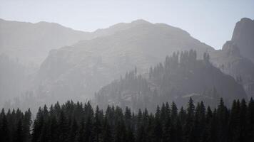een berg reeks met bomen in de voorgrond en mist in de achtergrond video
