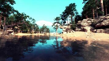 Water Body Surrounded by Trees and Rocks video