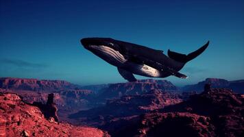 reusachtig walvis drijvend in lucht video