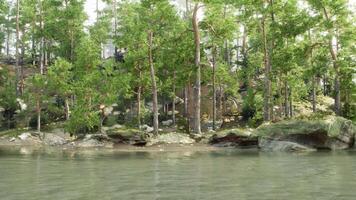 ein Körper von Wasser umgeben durch Bäume und Felsen video