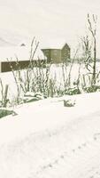 prachtig winterlandschap met traditionele Noorse houten huizen video