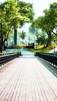 vieux pont dans le parc en été video