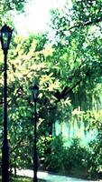 vista panoramica di un tortuoso sentiero in pietra attraverso un tranquillo parco cittadino verde video
