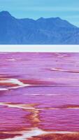 splendida vista sul lago rosa in una giornata estiva video