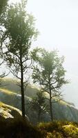 hermosas rocas con pocos árboles a la luz del día en Nepal video