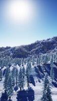 espléndido paisaje alpino en invierno video