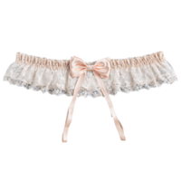 Blushing Bride pale blush lace garter belt with satin bow accent soft diffused window light png