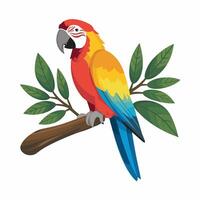 Set of Cute Parrot cartoon collection, isolated on white background vector