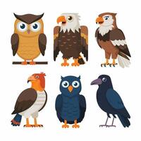 Set of Cute Parrot cartoon collection, isolated on white background vector