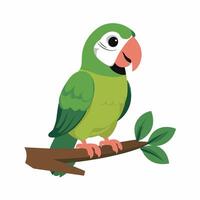 Set of Cute Parrot cartoon collection, isolated on white background vector