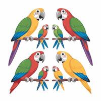 Set of Cute Parrot cartoon collection, isolated on white background vector