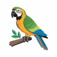 Set of Cute Parrot cartoon collection, isolated on white background vector