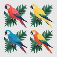 Set of Cute Parrot cartoon collection, isolated on white background vector