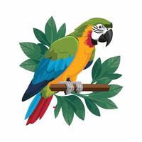 Set of Cute Parrot cartoon collection, isolated on white background vector