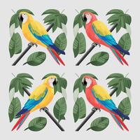 Set of Cute Parrot cartoon collection, isolated on white background vector