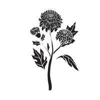 Chrysanthemum flower in black silhouette style. illustration isolated on white background. vector