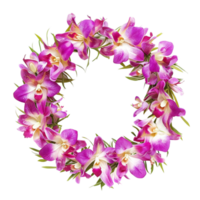 verkennen de wereld van Thais orchideeën soorten, leefgebieden, en teelt png