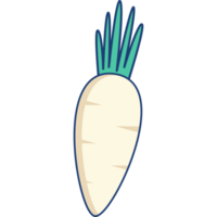 Turnip Illustration Isolated Transparent Background png