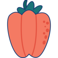 rot Paprika Illustration isoliert transparent Hintergrund png