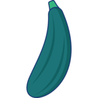 Zucchini Illustration Isolated Transparent Background png