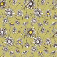Chamomile illustration, seamless pattern. Daisy wheel flowers with yellow veins on a green background. Design for fabric, wallpaper, wrapping paper. vector