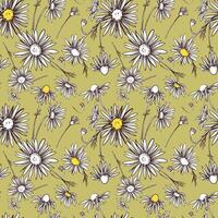 Chamomile illustration, seamless pattern. Daisy wheel flowers with yellow veins on a green background. Design for fabric, wallpaper, wrapping paper. vector