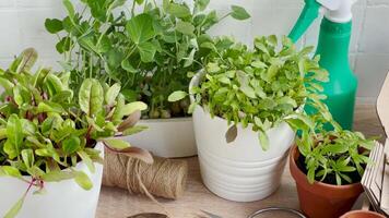 Indoor Gardening Essentials Displayed on Wooden Table Surface During Daytime video