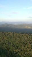 Aerial view of mountain forest landscape in summer, Poland. video