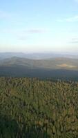 aérien vue de Montagne forêt paysage dans été, Pologne. video