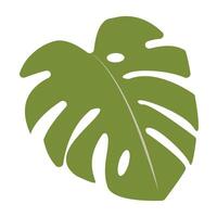 monstera hoja. tropical . tropical icono aislado en blanco antecedentes. elemento para imprimir, bandera, tarjeta, folleto, logo. vector