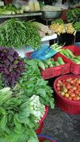 groente kraam Bij lokaal buitenshuis boeren markt in Vietnam. detailopname video