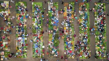 top visie van kleurrijk lokaal buitenshuis boeren markt in landelijk Vietnam video