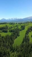 aéreo ver de maravilloso paisaje de tatra montañas en verano, Polonia. video